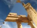 palmyra