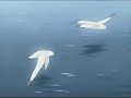 ?????Honey and clover 10(2/3) ?????Honey and clover 10(2/3)
