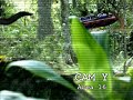 Dharma Island: Live Video Feeds