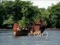 Dharma Island: Live Video Feeds