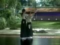 Misaki Ito Nescafe