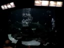 Shark Dive Show @ Six Flags Discovery Kingdom