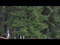 ljubija centar-cunga