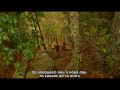 Click here to watch this video Moonrise Kingdom Trailer [ Ελληνικοί Υπότιτλοι ]