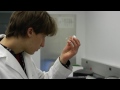 Undergraduate Research at UK with Gareth Voss - Part 1