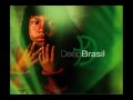 DEEP BRASIL - Amaz�nia inspirando �lbum de Eric e Fl�vio.