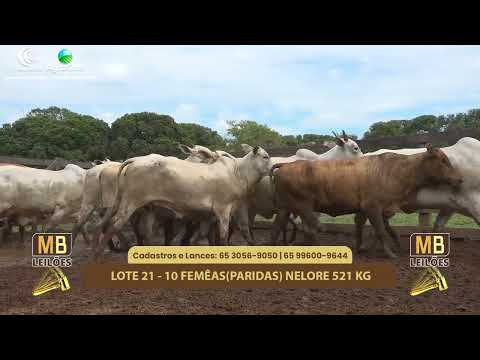 523� LEIL�O VIRTUAL MB LEIL�ES