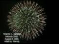 ODAIBA HANABI 2008