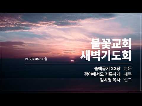 2026년 5월 11일 새벽예배 