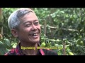 Protected vegetable cropping in the Visayas ...