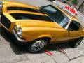 2010 Mustang GT, Camaro Z28, Spyker D8, Goat Troubles - ...