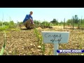 KCCI's Eric Hanson reports.