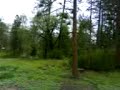 Idylwild Kwikset Cabins pure nature