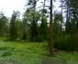 Idylwild Kwikset Cabins pure nature