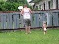 Fence