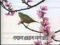 Aegukga: Korea\