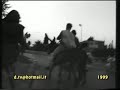 Il Palio dei Ciucci