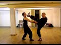 AVCI Wing Tsun - Timor Steimann - Wels/Ried
