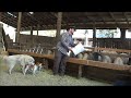 Who remembers the White nerdy boss dancing and shocking his employees? Here he is again being just as awesome.