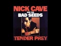 Sundays Slave - Cave, Nick And The Bad Seeds