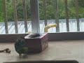 DSCF5733