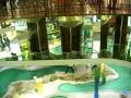 videos de elevator ride- west edmonton mall