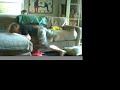 Home Alone for 30 minutes with Zachary and Conor Home Alone for 30 minutes with Zachary and Conor
