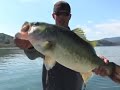 Big Bait Posse Promo Big Bait Posse Promo