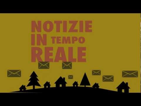 Guarda il video