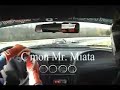 Cobra chasing Carrera GT