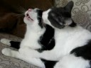 Floyd and Georgie