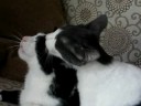 Floyd and Georgie