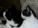 Floyd and Georgie