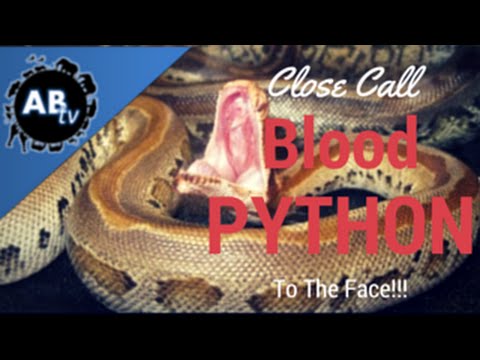 YouTube reptile video