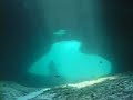 freediving-targi-wiatr-i-woda-pokaz-statyki-i-blackout.html