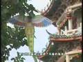 Shantou Teochew Chiu-Chow station - Kite Making(czhdf251)