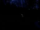 Elov Olsson busar 2 http://olssonlantzbogren.blogg