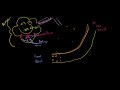 Red Blood Cells: Oxygen Uptake by Hemoglobin Video Tutorial