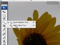 Select With the Magic Wand Tool in Photoshop CS3