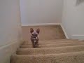 Mr. Furley on stairs Mr. Furley on stairs