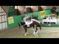 DJM Krumke 2011 - Gruppen 11 - VZ Meerbusch Juniorteam