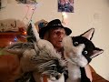 Wonky the Wonder-Wolf and Spider Cat - Blue Moon