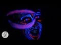 Yellow Ostrich The Shakdown Video and Lyrics