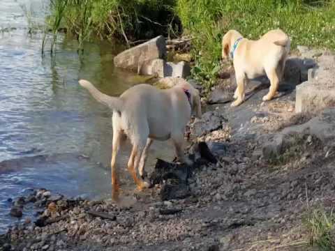 Emma Explores in the Water