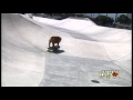 Tillman the Skateboarding Bulldog Skates, Skimboards, and SURFS!!