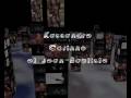 videos de voeux 2009