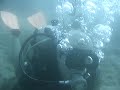 SCUBA: Remanso do farol da barra SCUBA: Remanso do farol da barra