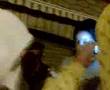 SessiOn Reagga ragga hip hop au MaillOl 3