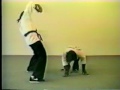 monkey kung-fu karate judo scimmia video divertente debo