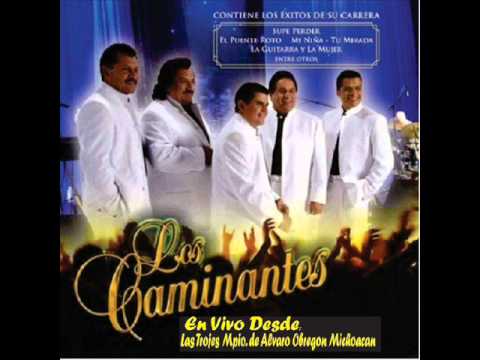 alvaro obregon michoacan -